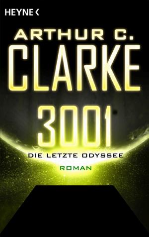 3001 - Die letzte Odyssee cover