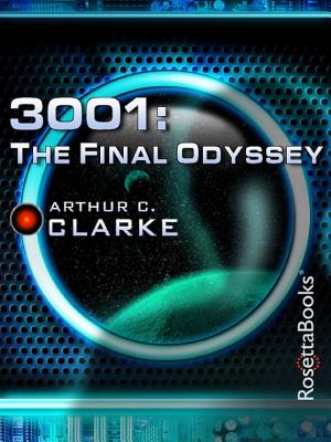 3001: The Final Odyssey cover