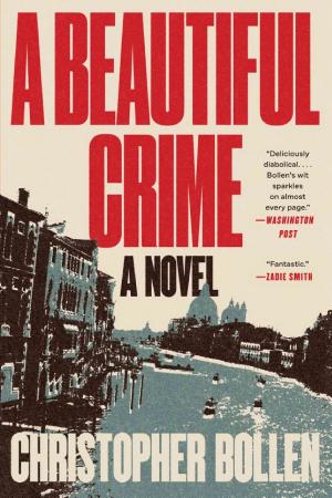 A Beautiful Crime cover