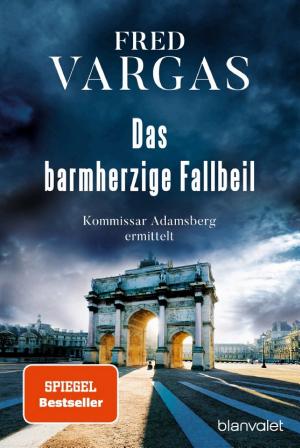 Das barmherzige Fallbeil cover