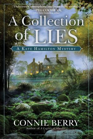 A Collection of Lies cover