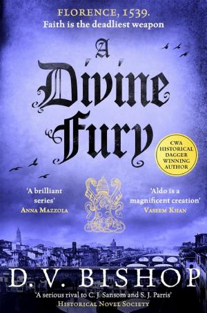 A Divine Fury cover
