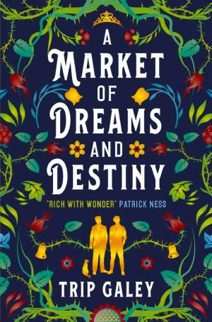 A Market of Dreams and Destiny cover