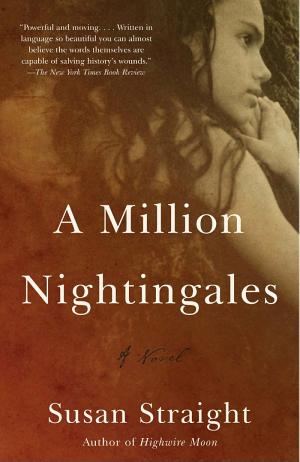 A Million Nightingales cover