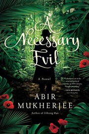 A Necessary Evil cover