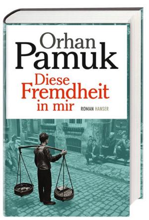 Diese Fremdheit in mir cover