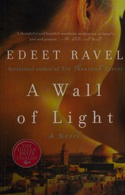 A Wall of Light cover