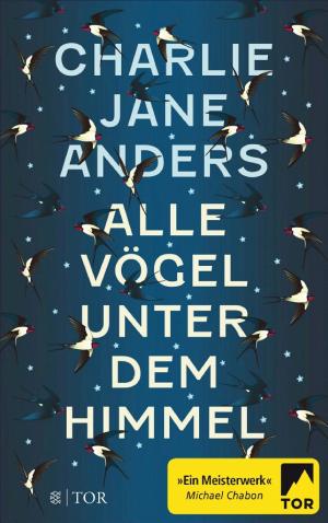 Alle Vögel unter dem Himmel cover