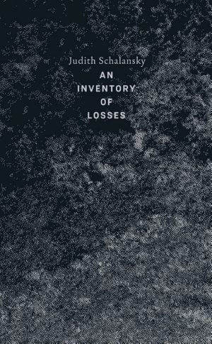 An Inventory of Losses cover