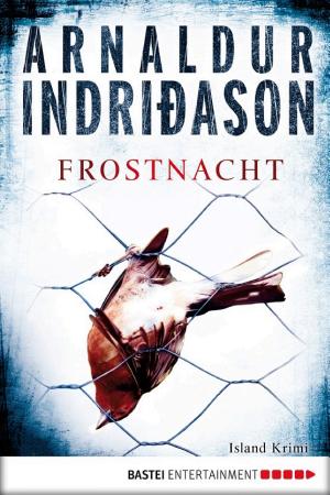 Frostnacht cover