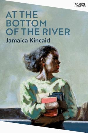 At the Bottom of the River cover