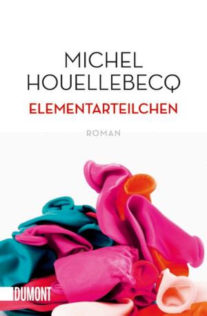 Elementarteilchen cover