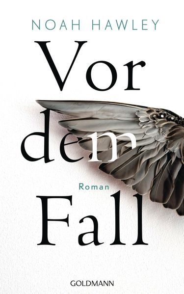Vor dem Fall cover