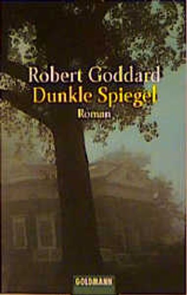 Dunkle Spiegel cover