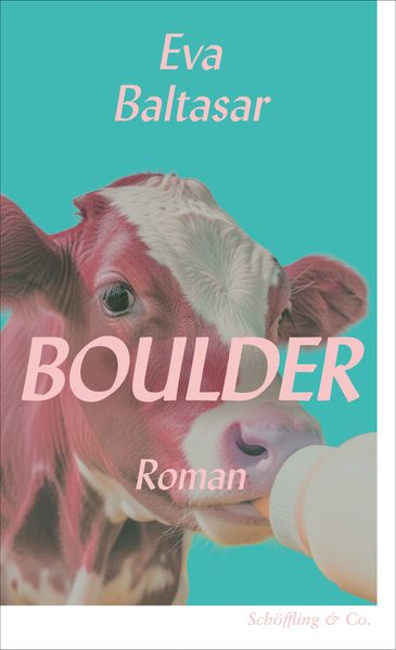 Boulder cover