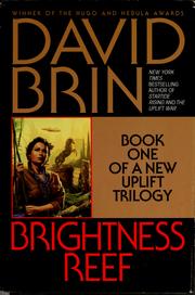 Brightness Reef cover