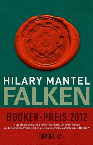 Falken cover