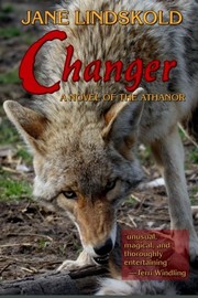 Changer cover