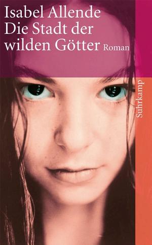 Die Stadt der wilden Götter cover