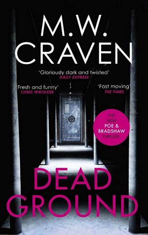 Dead Ground cover