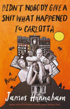 Didn't Nobody Give a S— What Happened to Carlotta cover