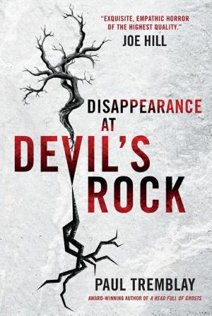 Disappearance at Devil's Rock cover