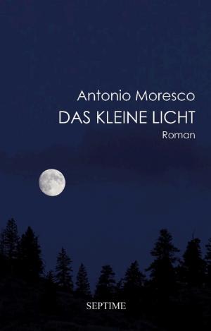 Das kleine Licht cover