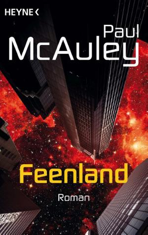 Feenland cover