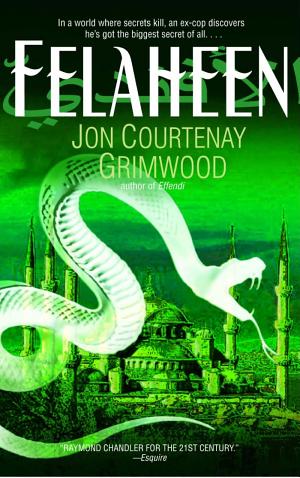 Felaheen: The Third Arabesk cover
