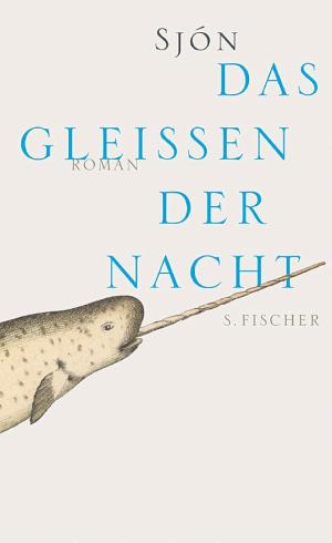 Das Gleißen der Nacht cover