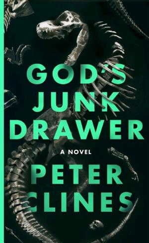 God’s Junk Drawer cover