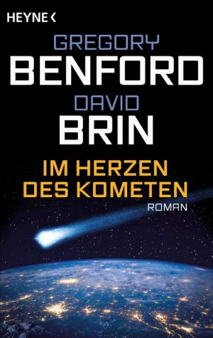 Im Herzen des Kometen cover