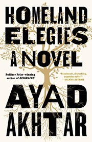 Homeland Elegies cover