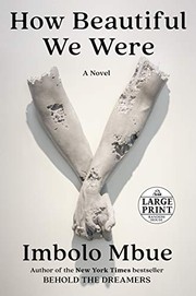 How Beautiful We Were cover
