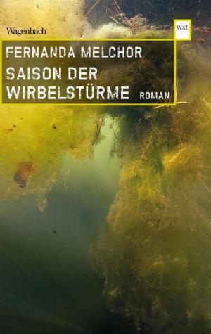 Saison der Wirbelstürme cover