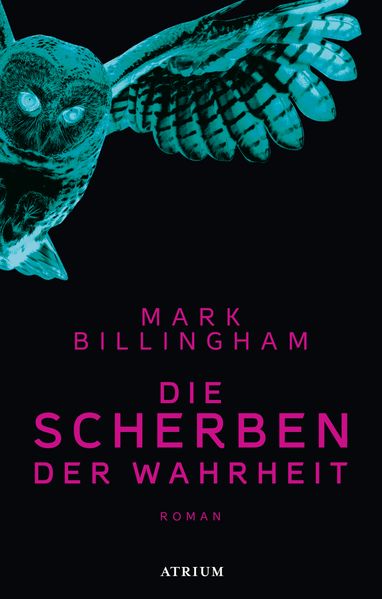Die Scherben der Wahrheit cover