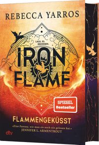 Iron Flame cover