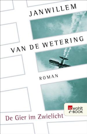 De Gier im Zwielicht cover