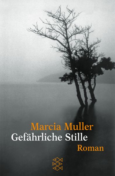 Gefährliche Stille cover