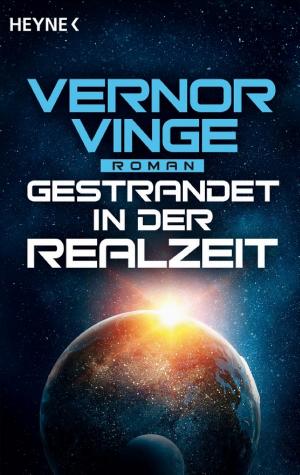 Gestrandet in der Realzeit cover
