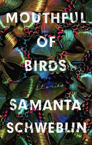 Mouthful of Birds cover