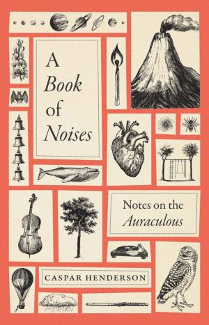 A Book of Noises: Notes on the Auraculous cover