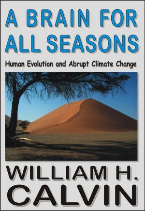 A Brain for All Seasons: Human Evolution & Abrupt Climate Change cover