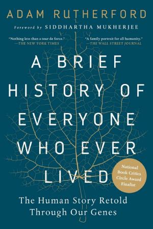 A Brief History of Everyone Who Ever Lived: The Human Story Retold Through Our Genes cover