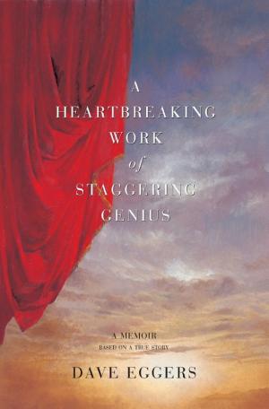 A Heartbreaking Work of Staggering Genius cover