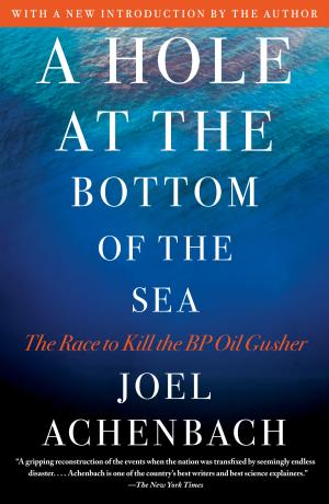A Hole at the Bottom of the Sea: The Race to Kill the BP Oil Gusher cover