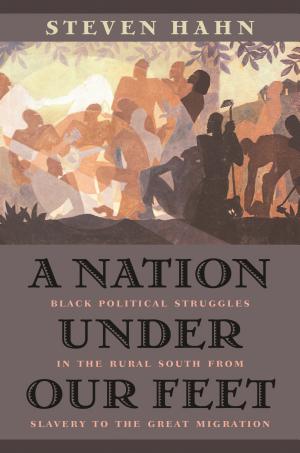 A Nation Under Our Feet: Black Political Struggles in the Rural South from Slavery to the Great Migration cover