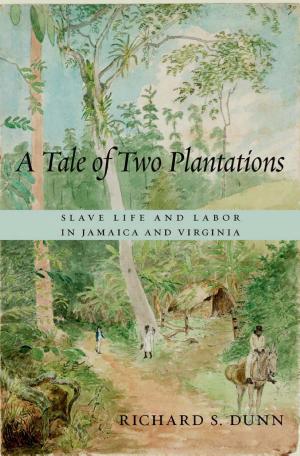 A Tale of Two Plantations: Slave Life and Labor in Virginia and Jamaica cover