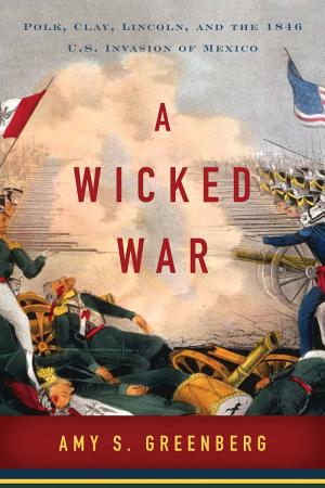 A Wicked War: Polk, Clay, Lincoln, and the 1846 U.S. Invasion of Mexico cover