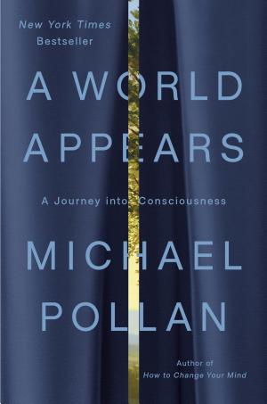 A World Appears: A Journey Into Consciousness cover